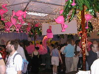 033 - Orlando party (flamingoes)